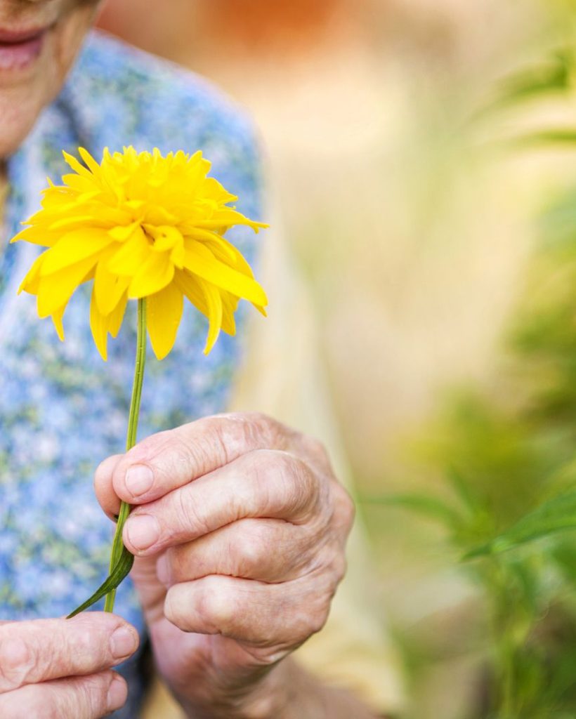 Les problématiques les plus fréquentes chez les seniors - thérapies